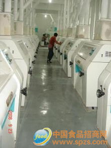 多種標粉采購代理服務全解析