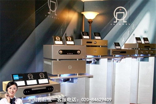 龍湖丹麥Davone CD機(jī)及樂器維修全國24小時(shí)服務(wù)