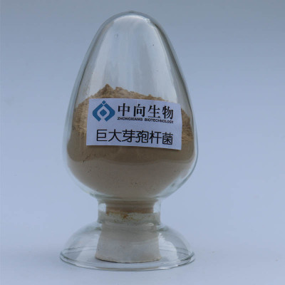 飼料營(yíng)養(yǎng) 畜牧養(yǎng)殖與漁業(yè)健康發(fā)展的關(guān)鍵支撐