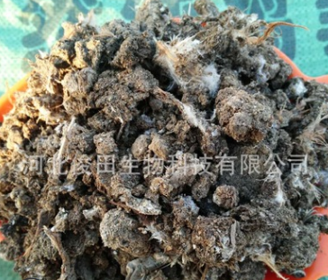 生物肥與飼料 鋤禾日當(dāng)午，畜牧漁業(yè)的綠色未來(lái)